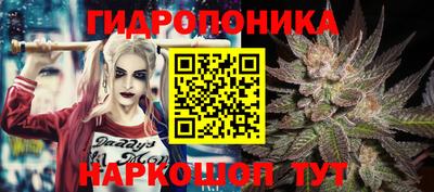 прущие крисы Краснокаменск