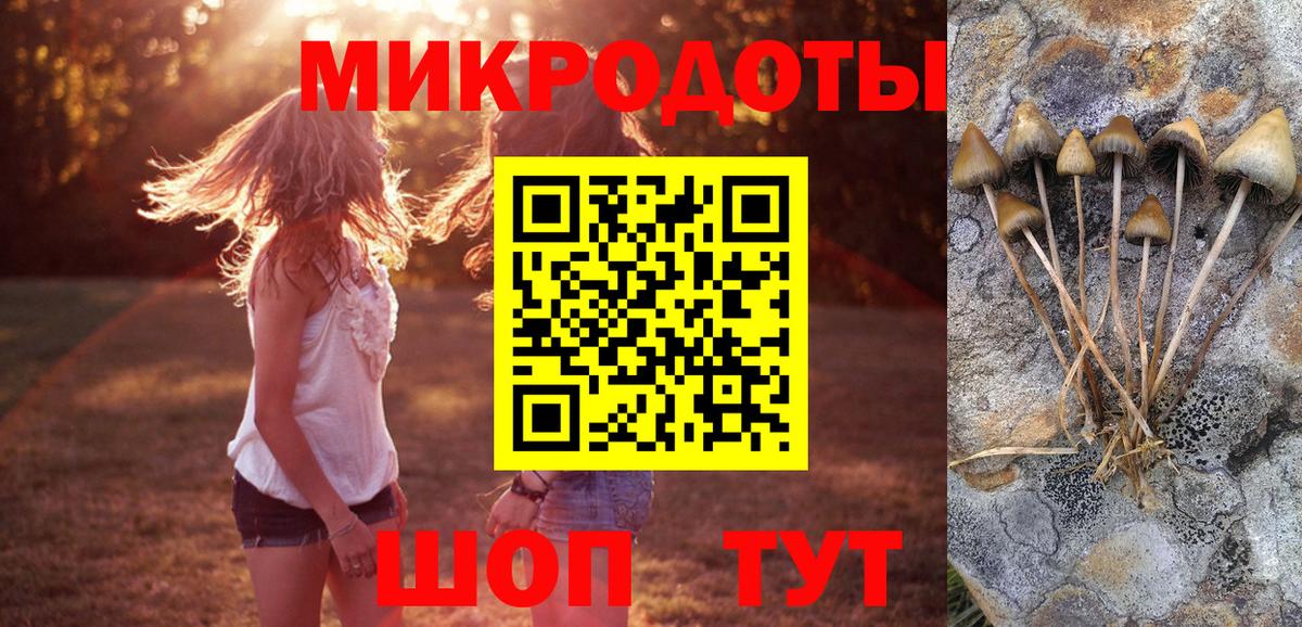 Десногорск  Псилоцибиновые грибы прущие грибы  Вход с VPN  Псилоцибиновые грибы GOLDEN TEACHER 